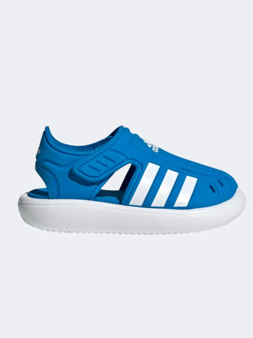 Adidas Water Infant Boys Swim Sandals Blue/White