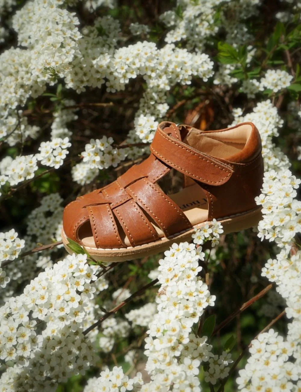 Classic Sandal - Cognac