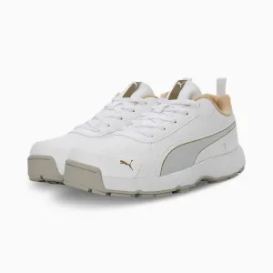 Cricket CAT Classic Men's Shoes